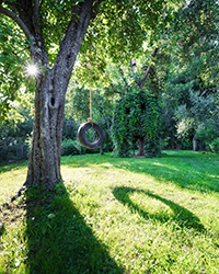 Tire swing on a tree cared for by Smithville tree service